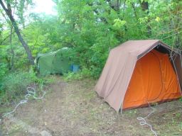 exp-zr-2009 746